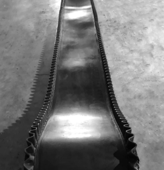 Customized Conveyor Belt