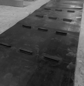 Customized Conveyor Belt