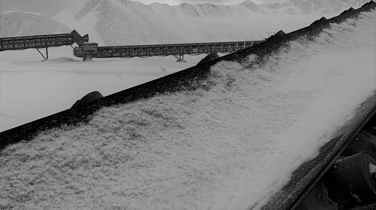 Cold and Frost Resistant Conveyor Belt