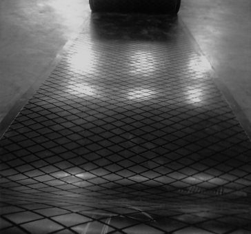 Customized Conveyor Belt